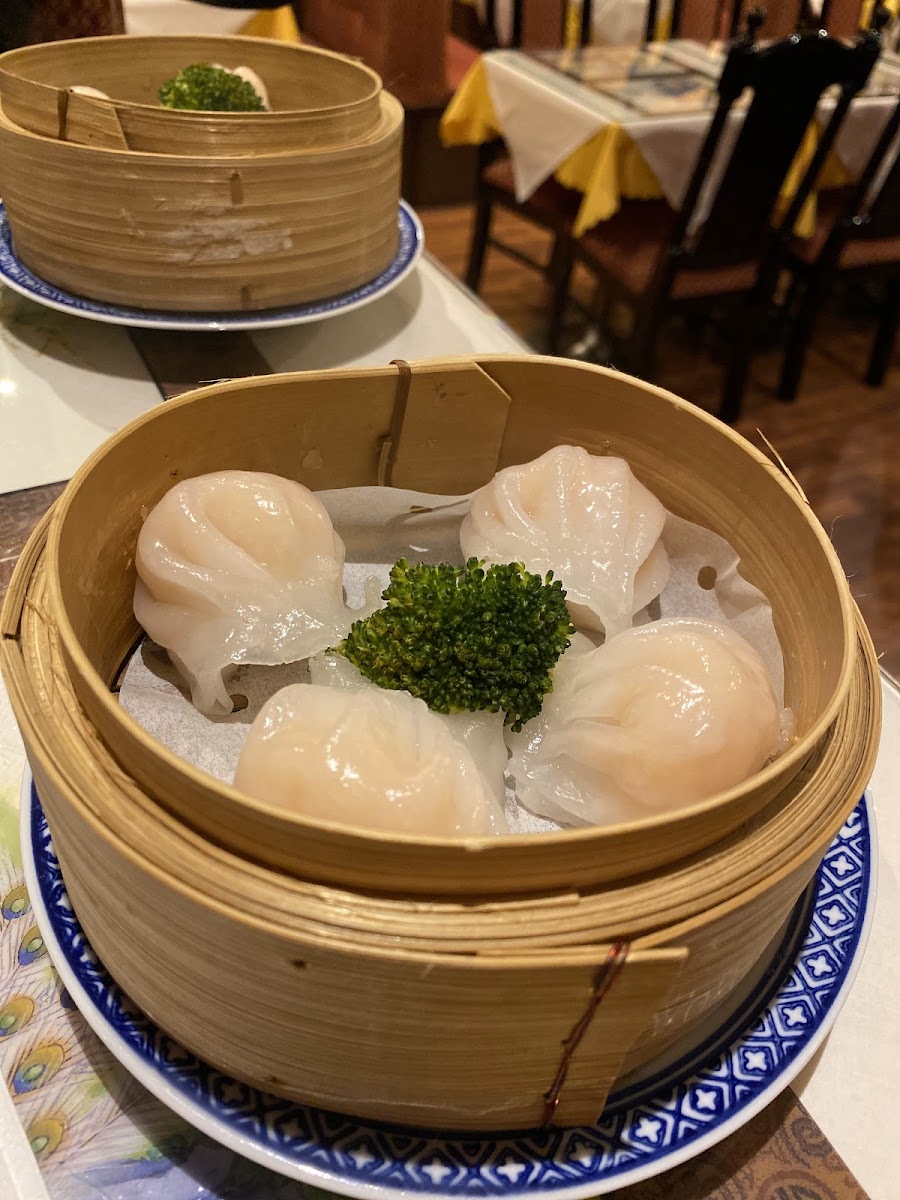 Dragon Spring Photos 2